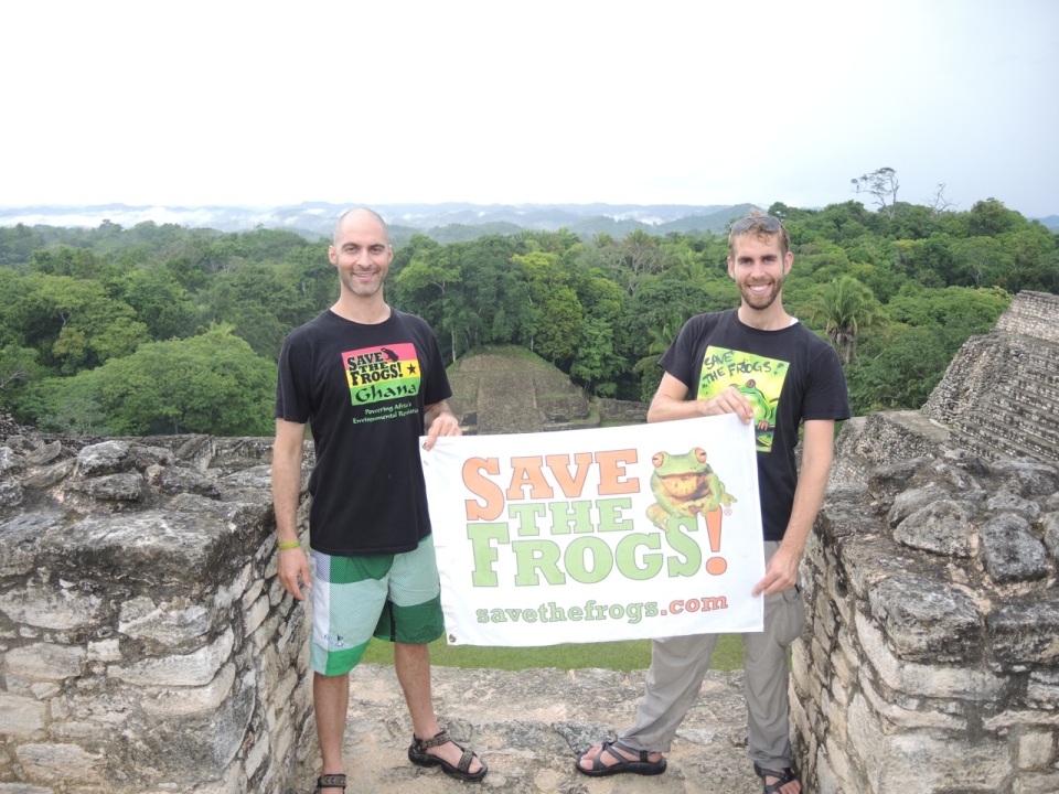 Save the Frogs at the top of Complex A - Caracol.
