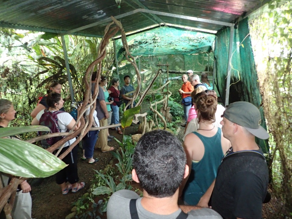 The Leaf-cutter Ant research facility at La Quinta, Sarapiqui, Costa Rica.
